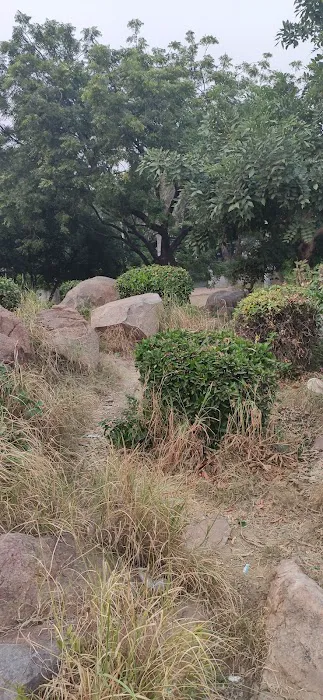 Rock Garden - 8