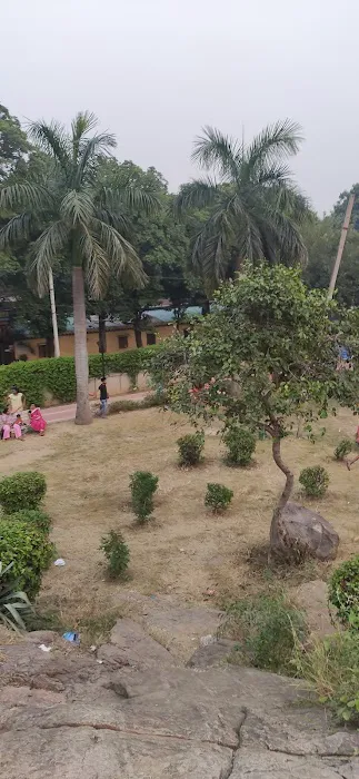 Rock Garden - 9