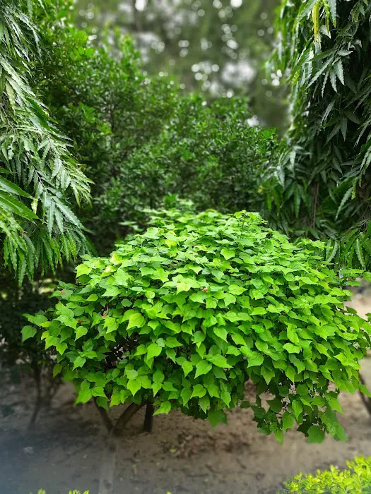 Tikona Park - 8