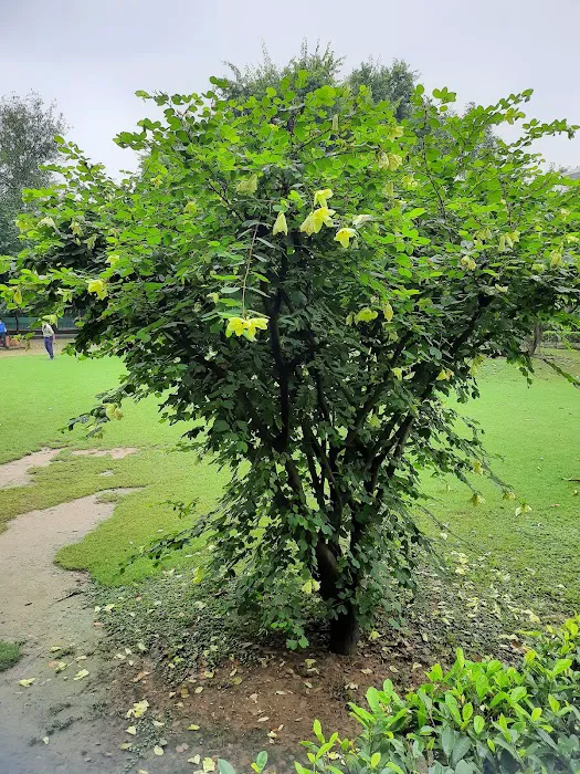 Tikona Park - 9