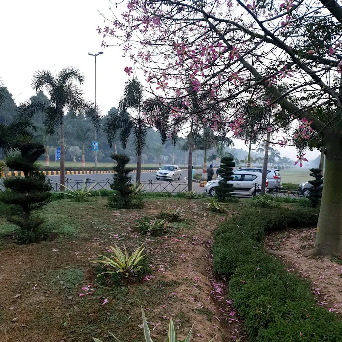 ACN Tree - 0