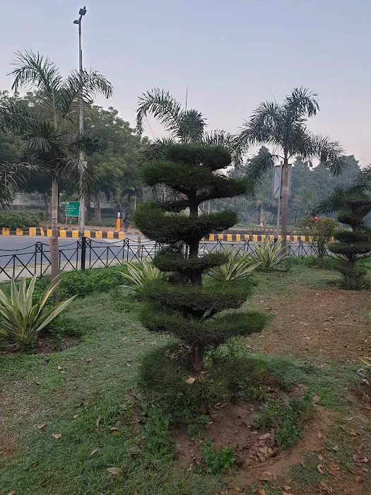 ACN Tree - 2