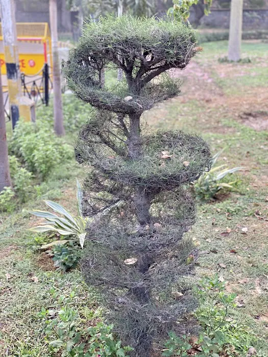 ACN Tree - 8
