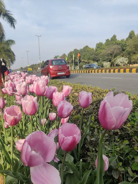 Shantipath and Satya Marg Circle - 5