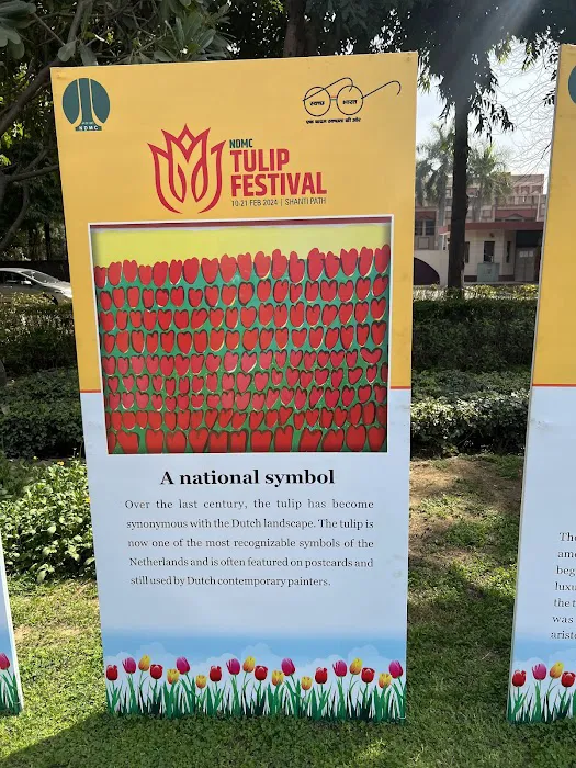 Tulip garden - 4