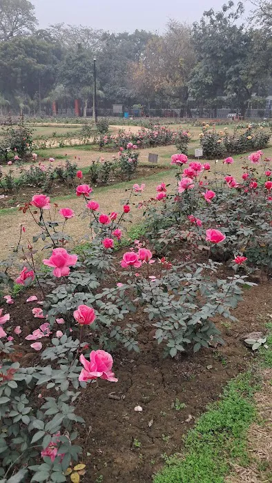 BRICS Friendship Rose Garden - 5