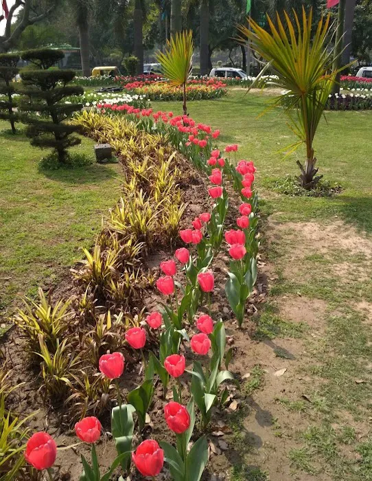 BRICS Friendship Rose Garden - 9