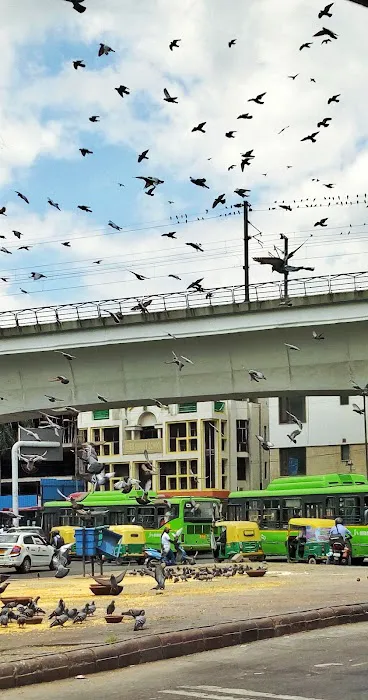 Chittaranjan Das Park - 3