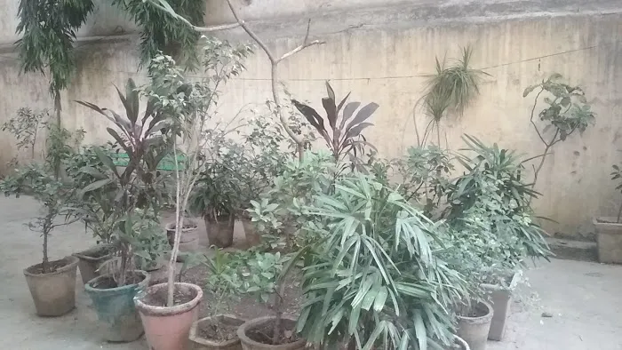 Tikona Park - 5