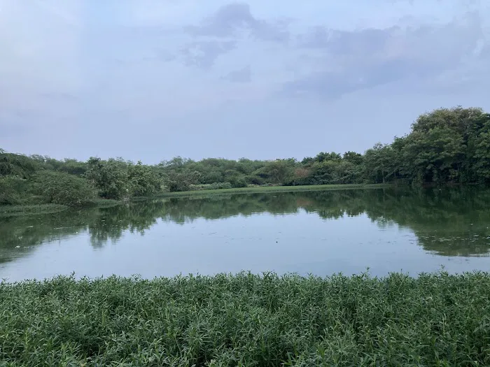 Vasant Kunj Lake, New Delhi - 2