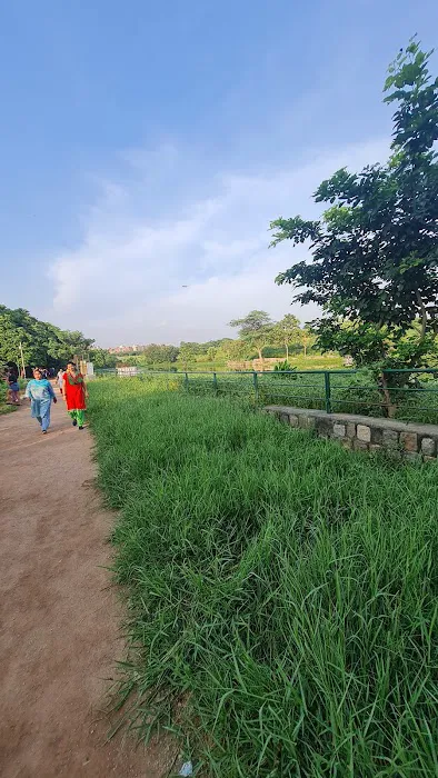 Vasant Kunj Lake, New Delhi - 1