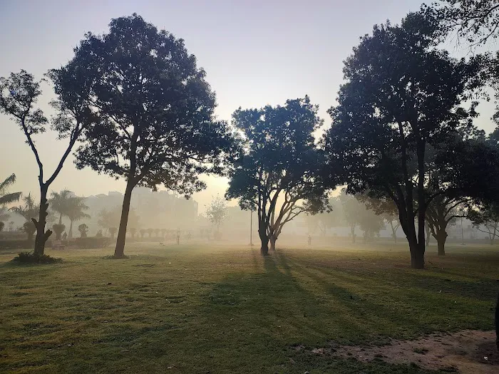 Forest Area - 0