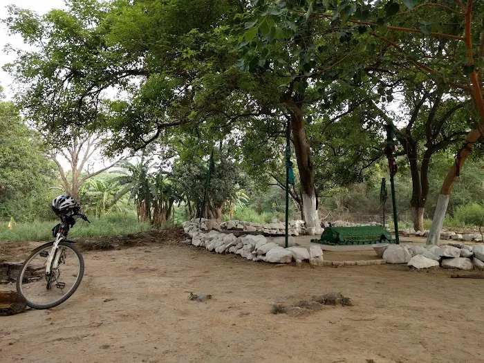 Forest Area - 2