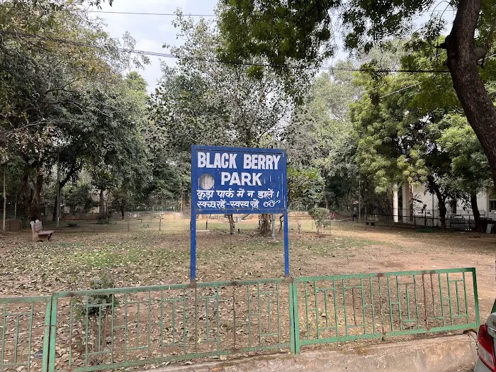 Black Berry Park - 0