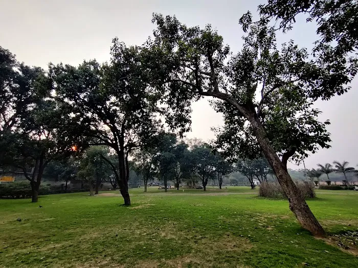 Mango Orchid park-III DDA park - 0