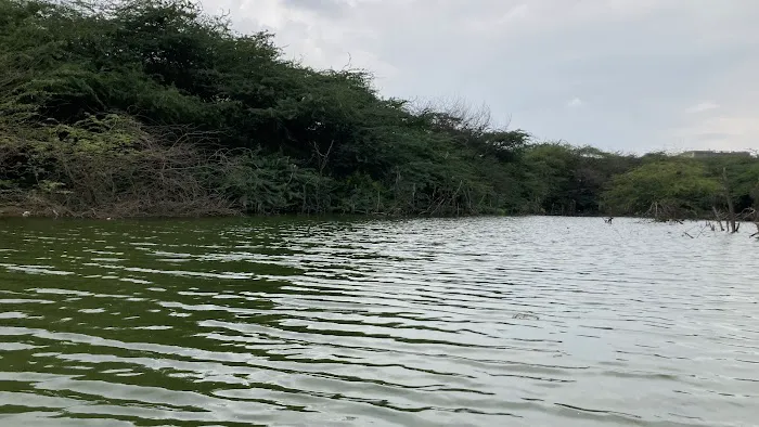 Hauz-e-Shamshi Lake - 4