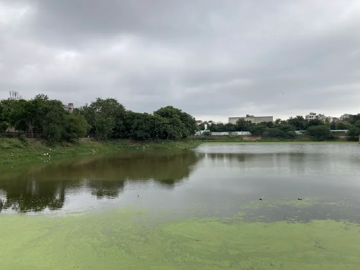 Hauz-e-Shamshi Lake - 8