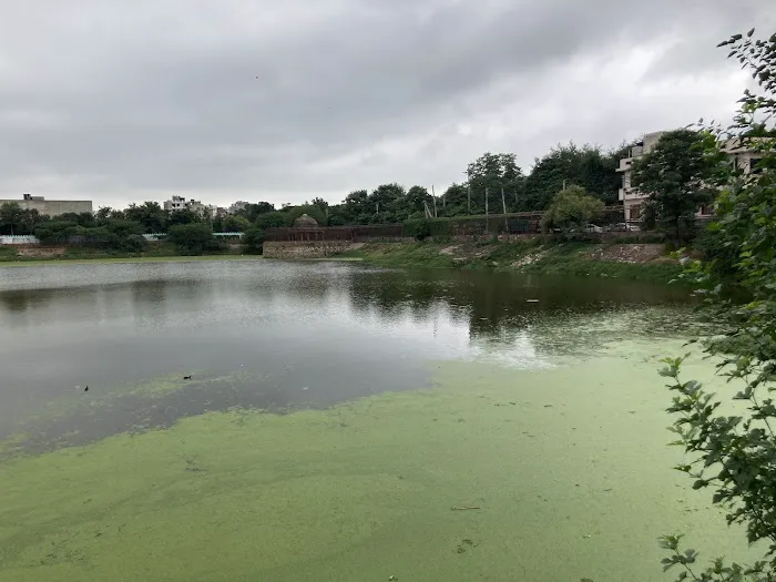 Hauz-e-Shamshi Lake - 10