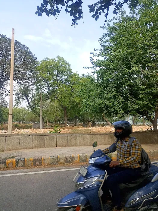 Jhanda Park - 3