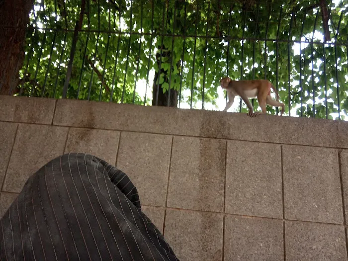 Jhanda Park - 7