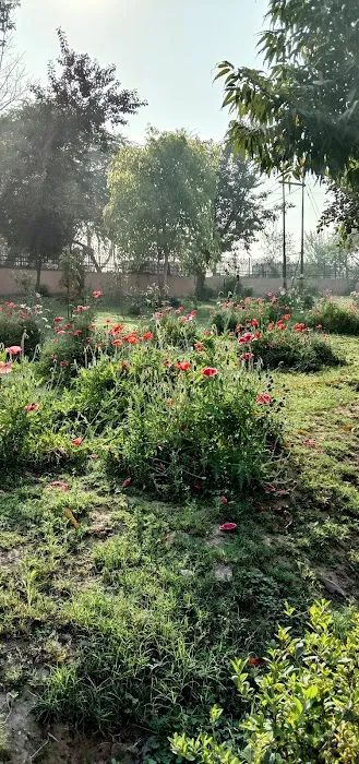 DDA Park - 3