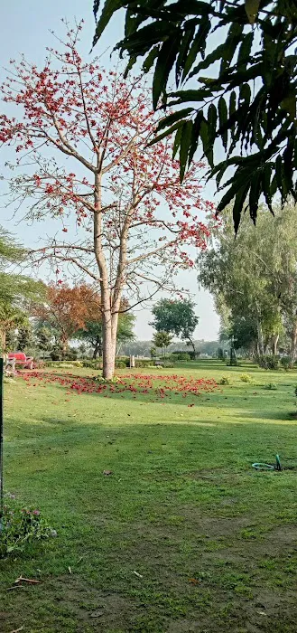 DDA Park - 6