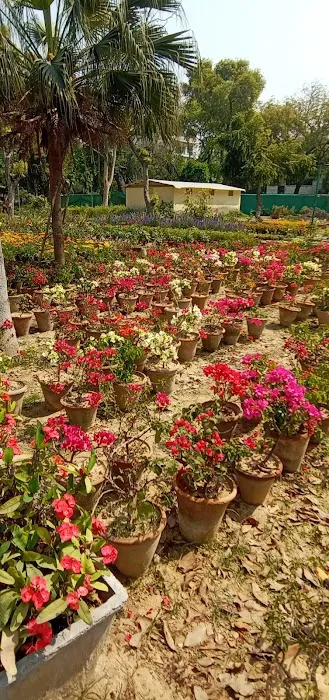 DDA Park - 5