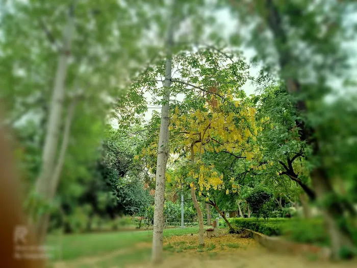 DDA Park - 4