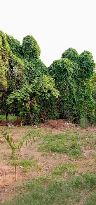 DDA Park - 9