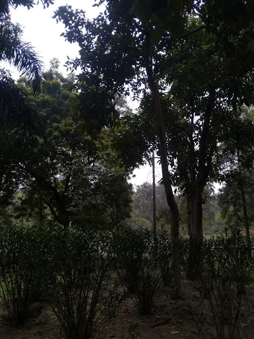 Sdmc park - 7