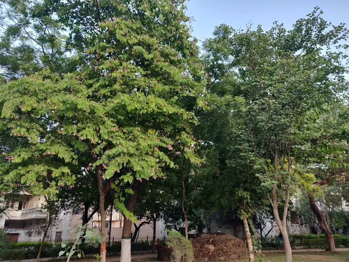 H Block Park - 1