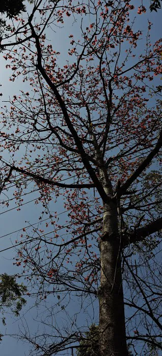 Lala Lajpat Rai Park - 6