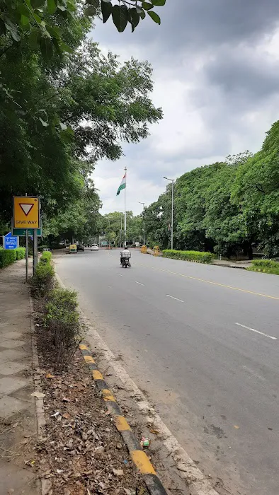 Flag Pole Roundabout - 0