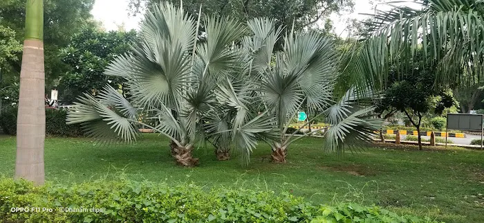 Charles Venn Park - 7