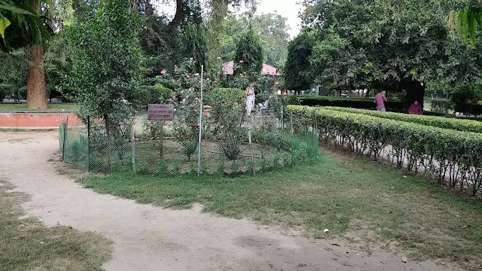 Rajpura left - 2