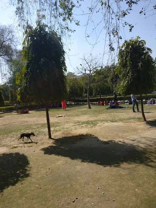 Rajpura left - 6