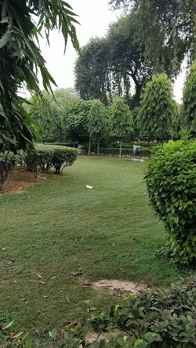Rajpura left - 8