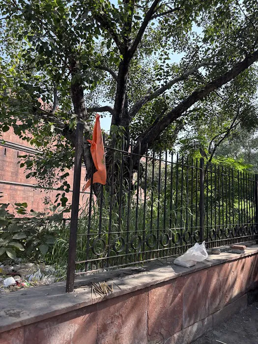 Angoori Bagh - 2
