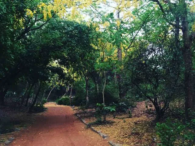 Angoori Bagh - 4
