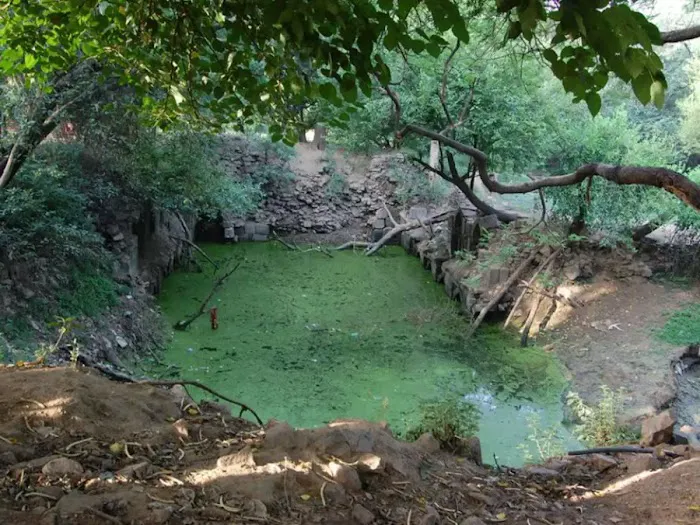 Angoori Bagh - 8