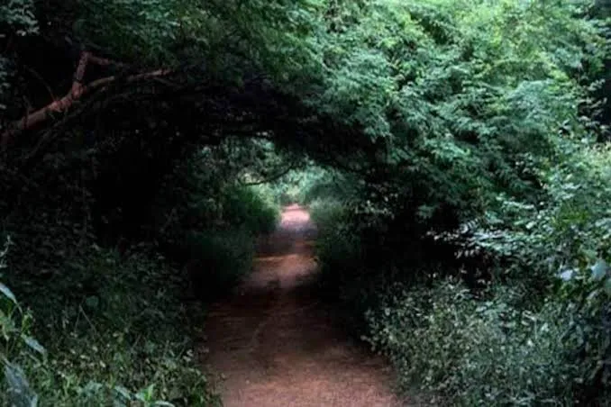 Angoori Bagh - 9