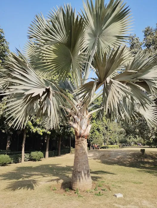 DDA Children's Park Lado Sarai - 1