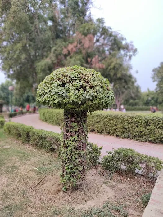 DDA Children's Park Lado Sarai - 7