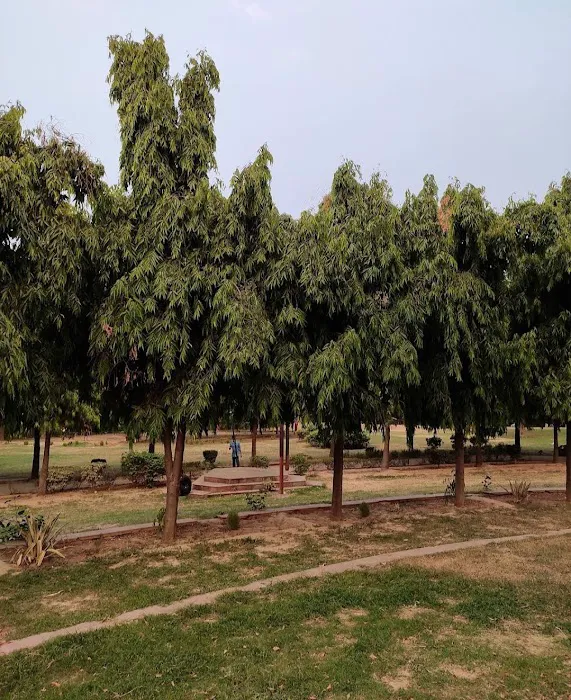 DDA Children's Park Lado Sarai - 6