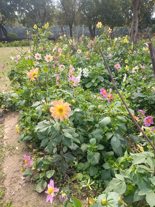 Spice DDA Park - 4