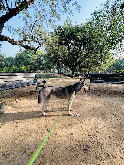 Lado Sarai Park - 7