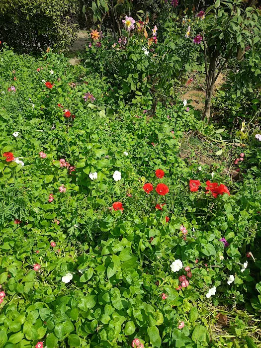 Lado Sarai Park - 6