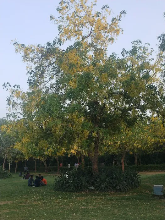 butterfly park saket - 2