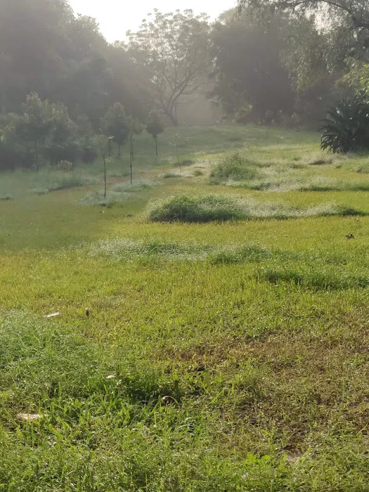 butterfly park saket - 6