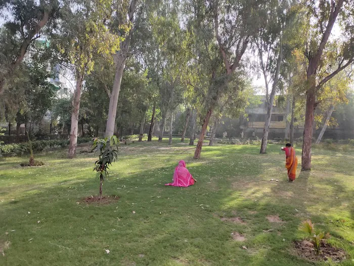 Park - 4